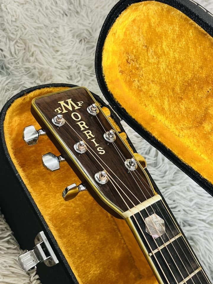 Đàn Guitar Acoustic Morris W80