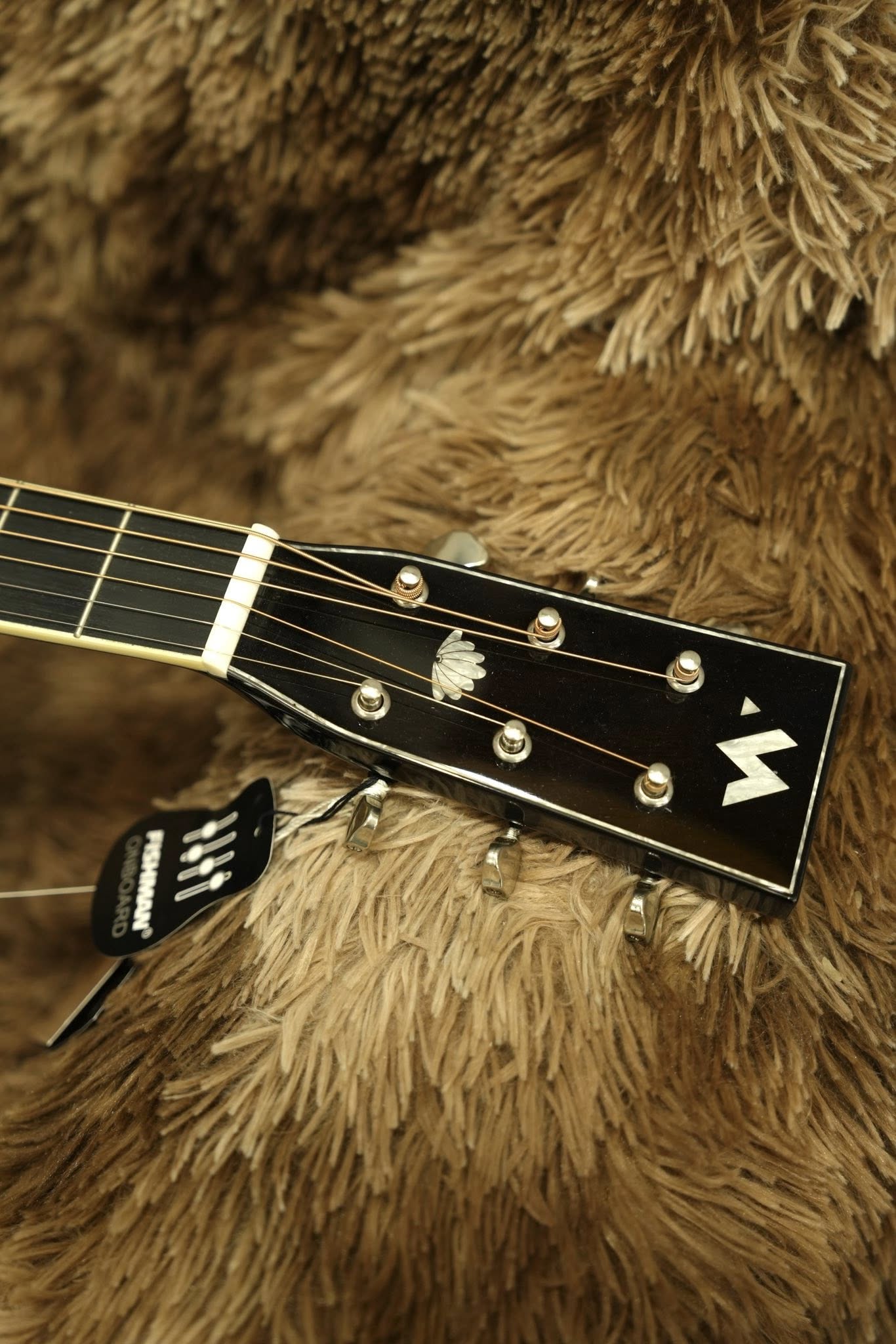 Đàn Guitar Acoustic Murcia AS30CE