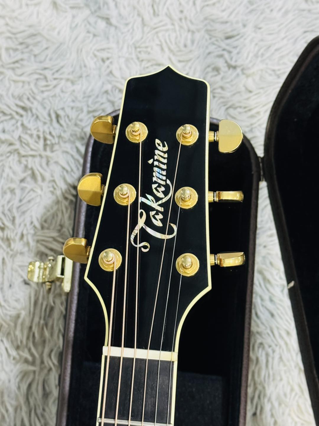 Đàn Guitar Acoustic Takamine DMP500KC DC
