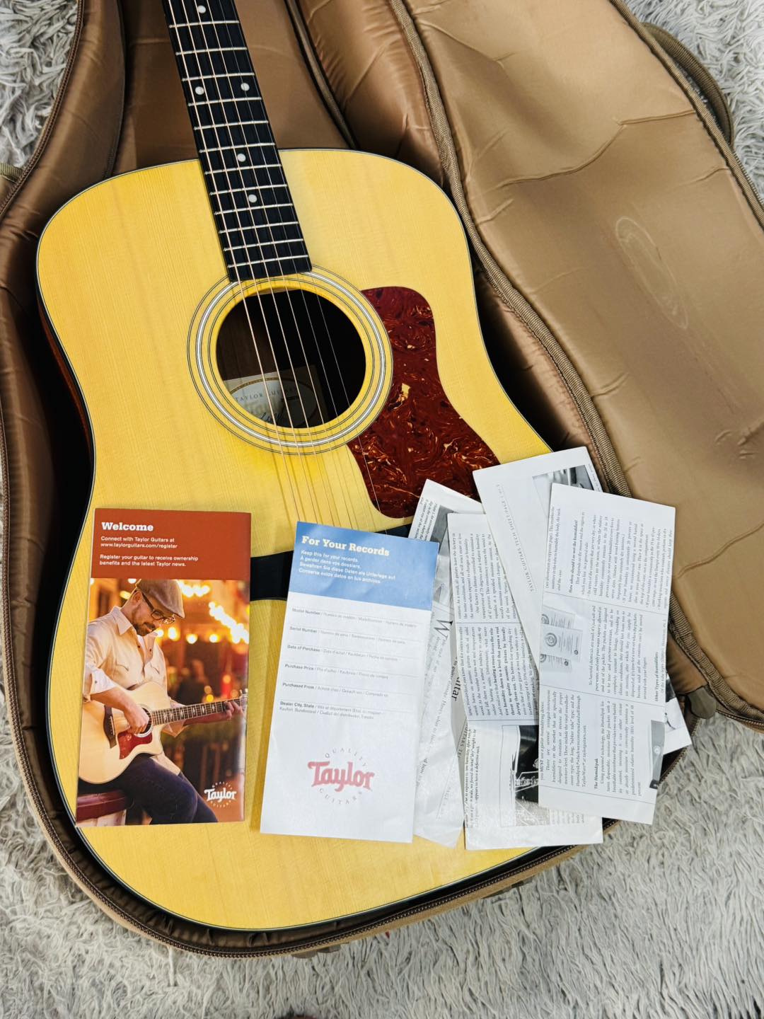 Đàn Guitar Acoustic Taylor 110