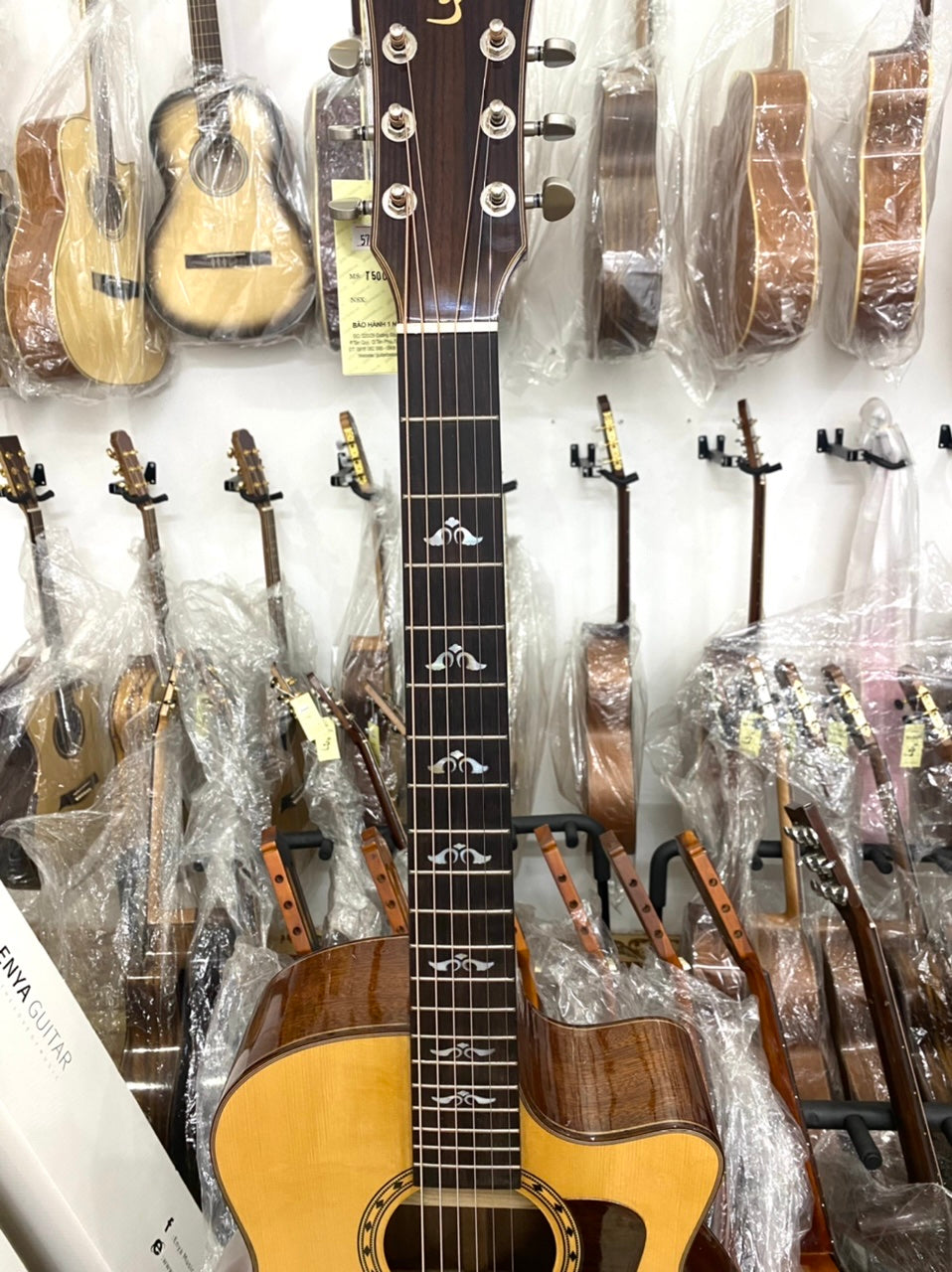 Đàn Guitar Ba Đờn T500 Acoustic