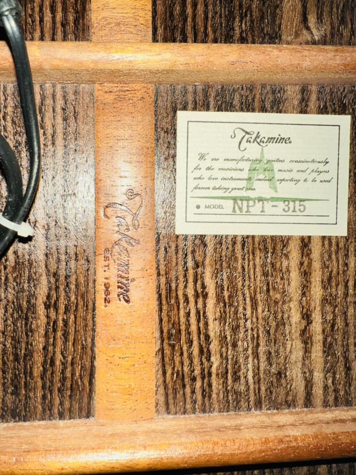 Đàn Guitar Classic Takamine NPT315