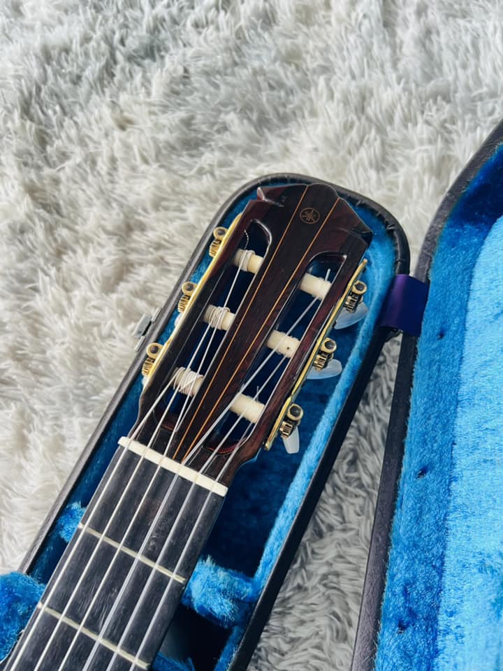 Đàn Guitar Classic Yamaha GC6D
