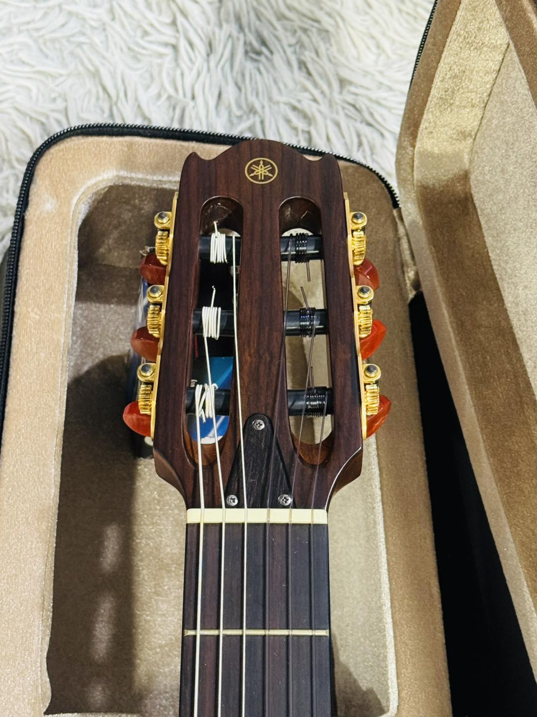 Đàn Guitar Classic Yamaha NTX1200R