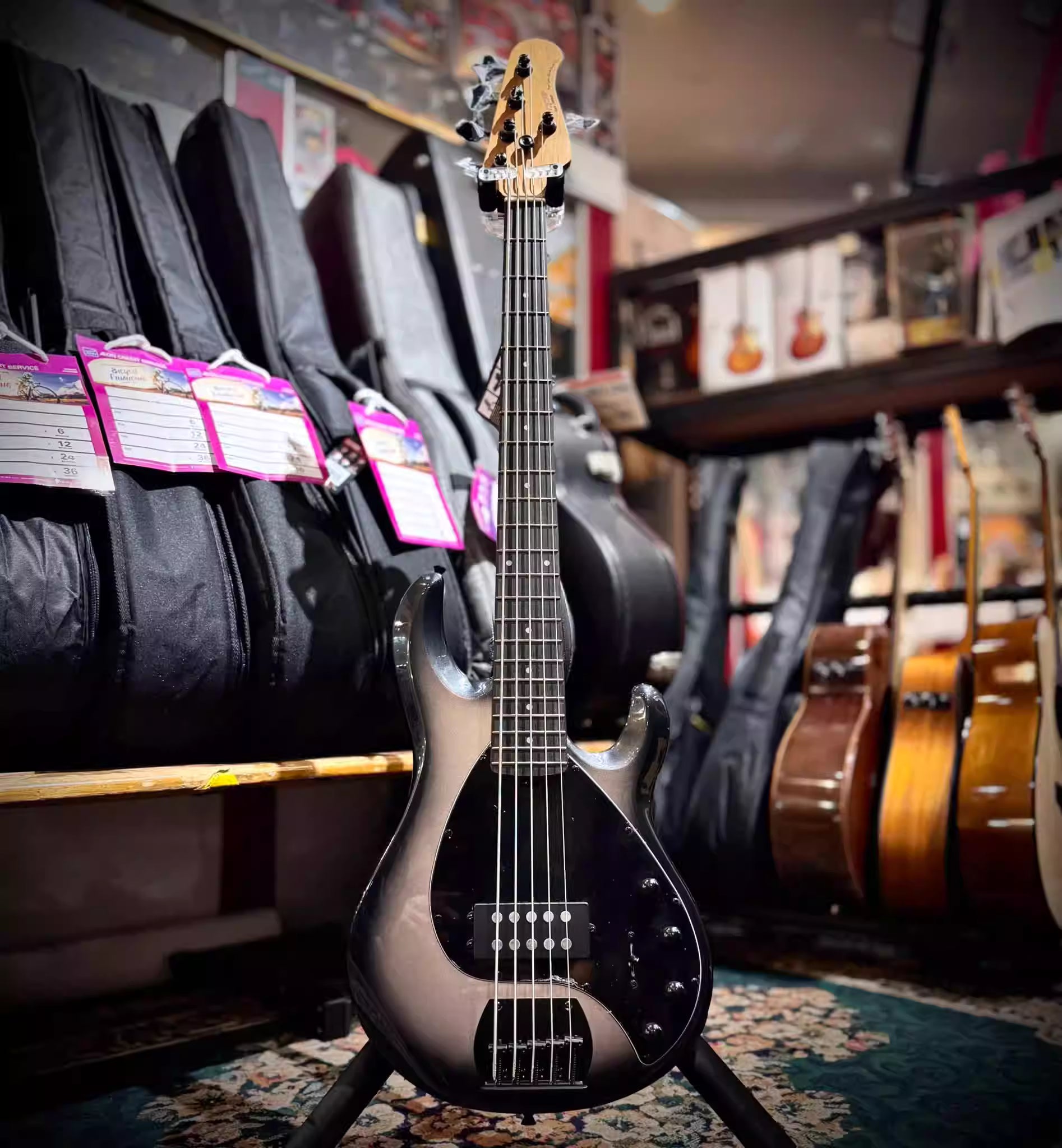 Đàn Guitar Bass Sqoe SBMS500 5 Strings H Electric Guitar, Rosewood Fingerboard, Misty Starry Sky Gray