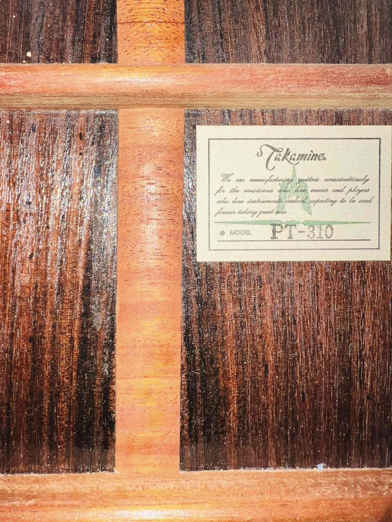 Đàn Guitar Classic Takamine PT310