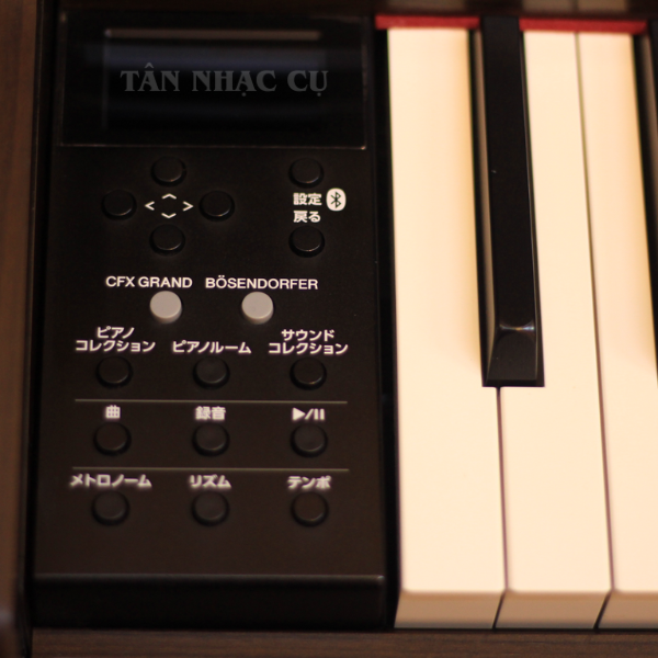 Đàn Piano Điện Yamaha SCLP6450