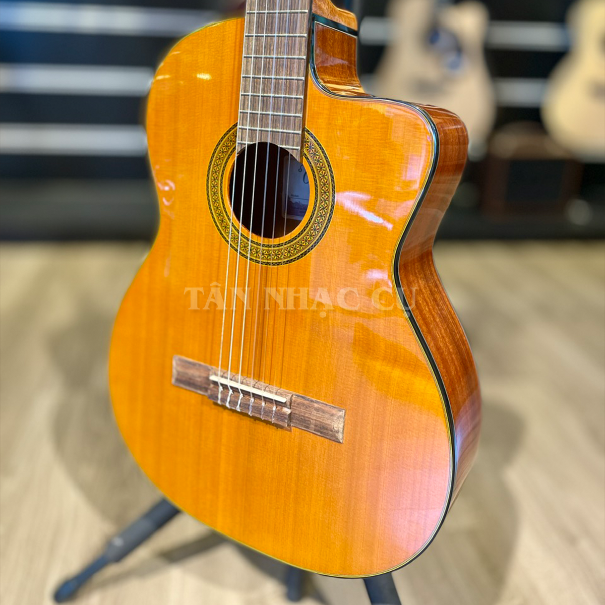 Takamine GC3CE