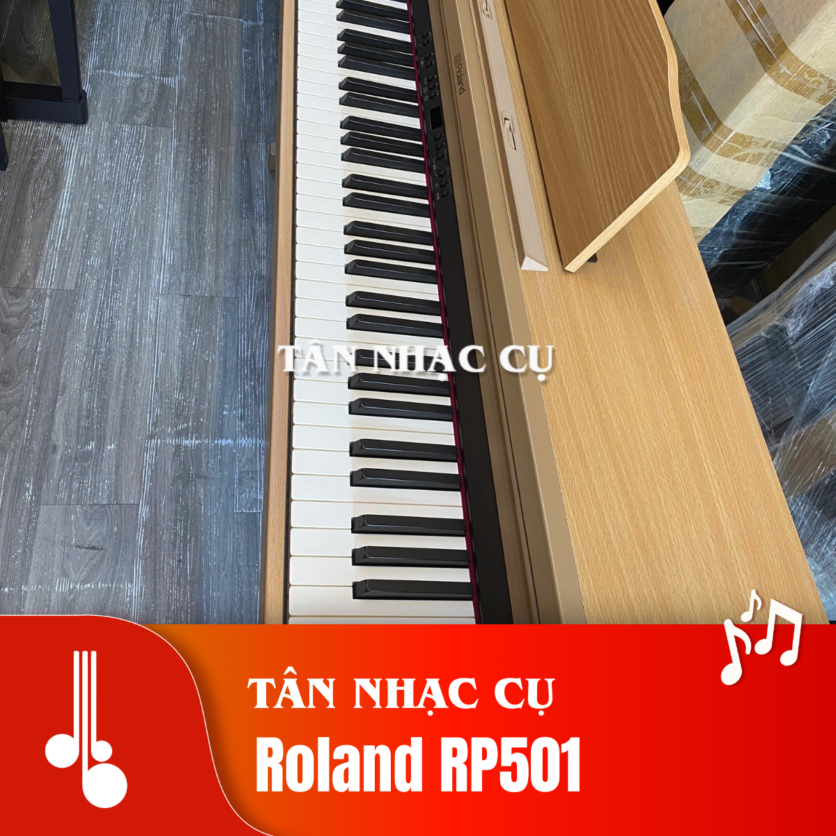 Roland RP501