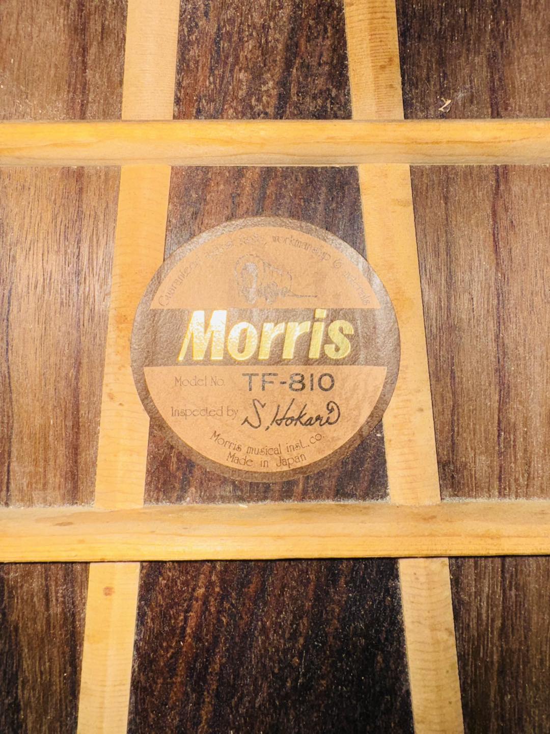 Đàn Guitar Acoustic Morris TF810