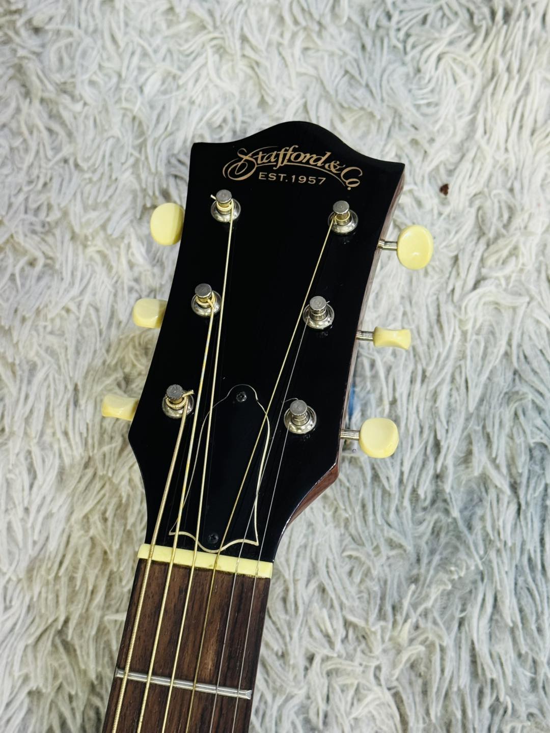 Đàn Guitar Acoustic Stafford & Co. SLG 360E BS