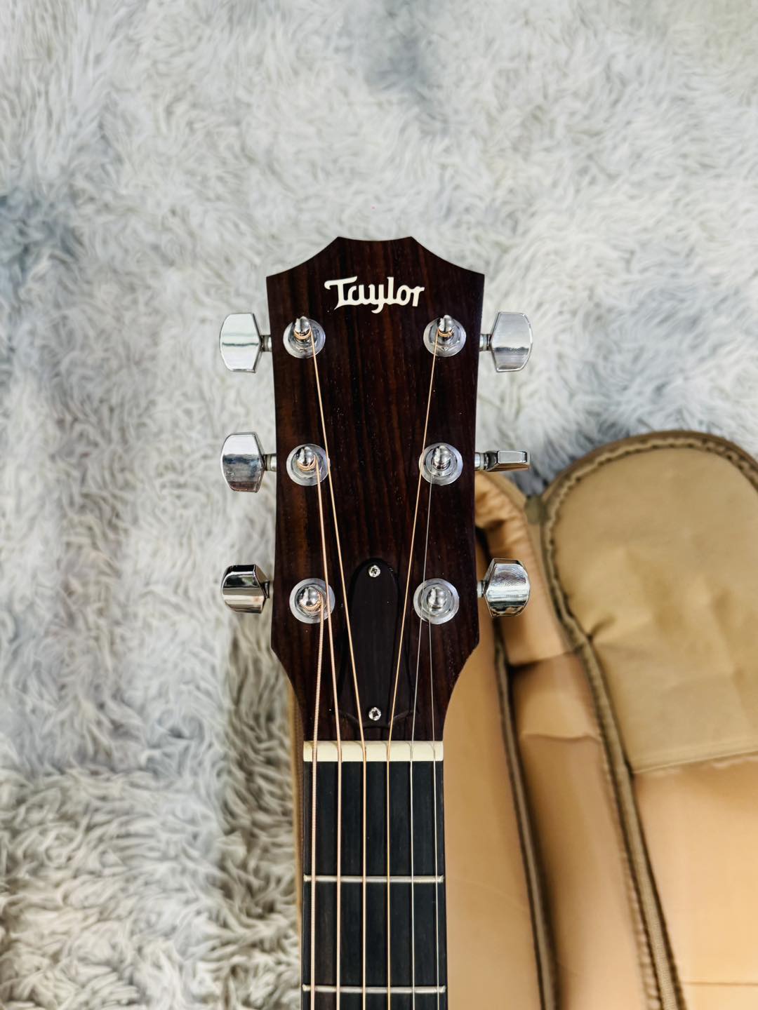Đàn Guitar Acoustic Taylor 110