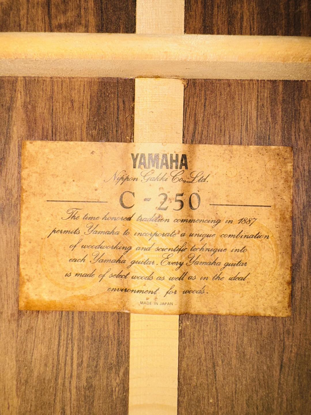 Đàn Guitar Classic Yamaha C 250