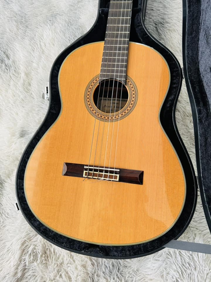 Đàn Guitar Classic Yamaha GC31C