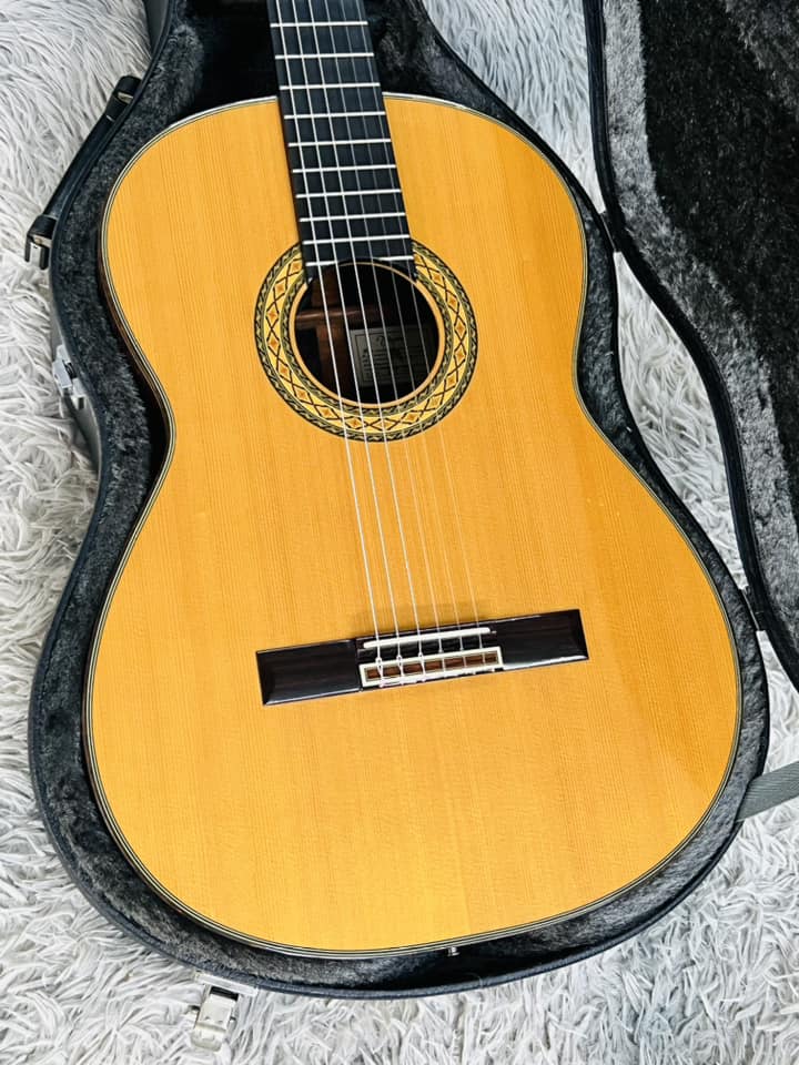 Đàn Guitar Classic Takamine PT310