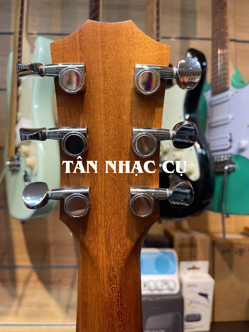 Taylor GS Mini E Rosewood