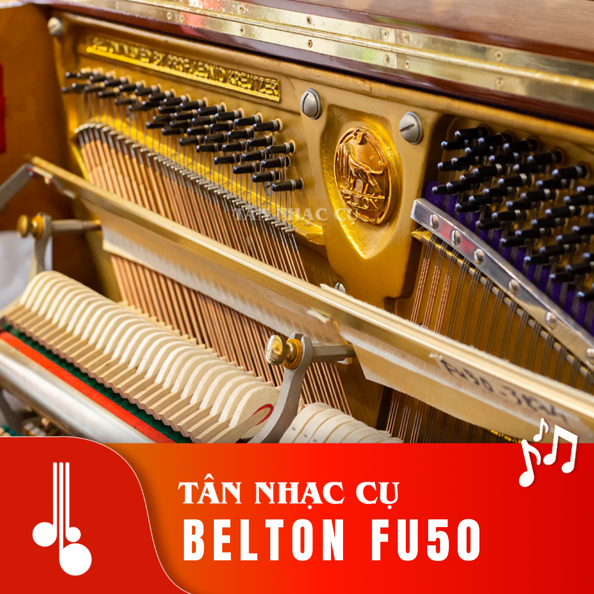 BELTON FU50 Tân Nhạc Cụ