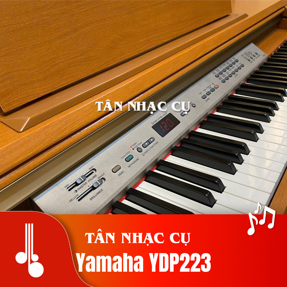 Yamaha YDP223