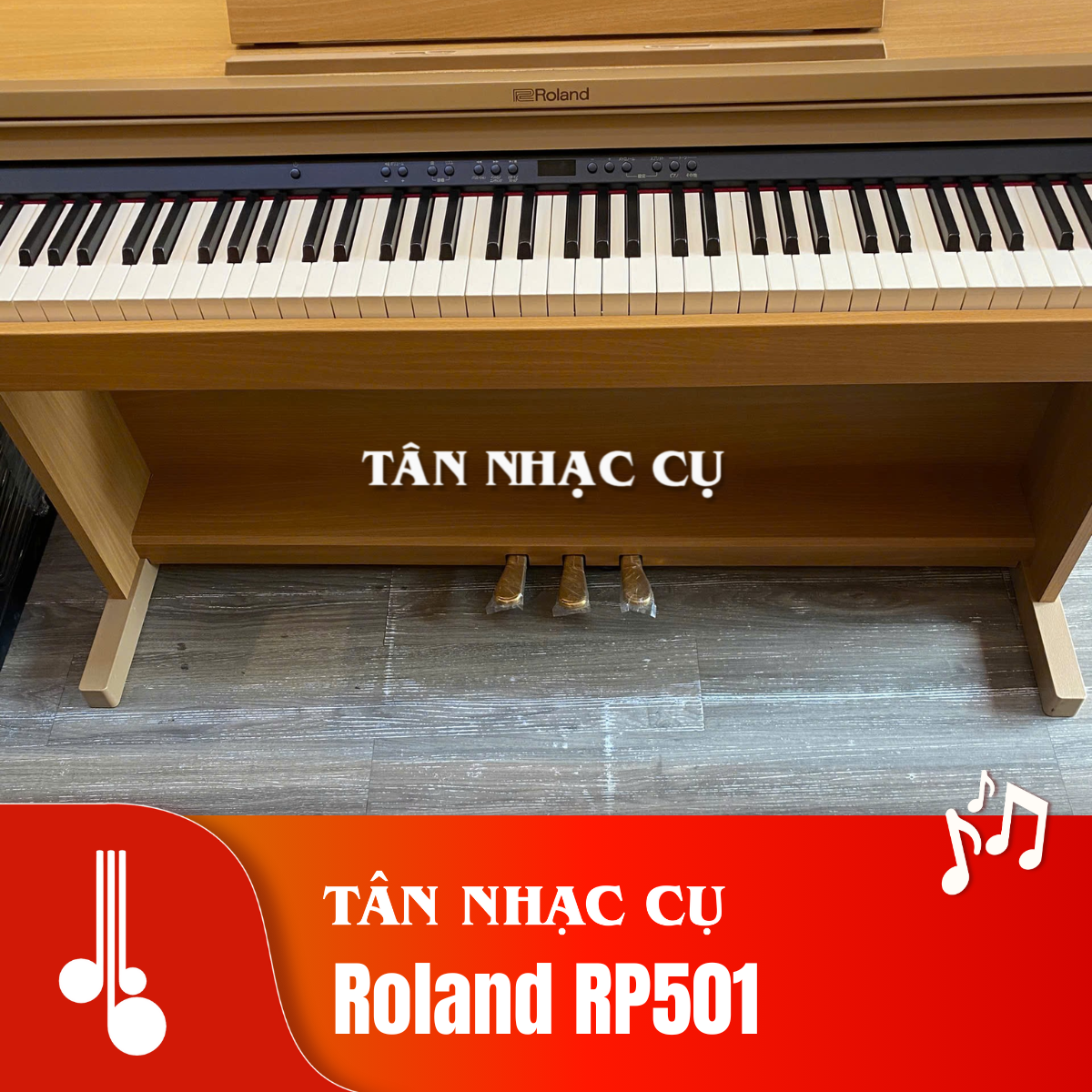 Roland RP501