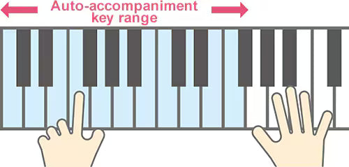 Đàn Organ Casio CTX800