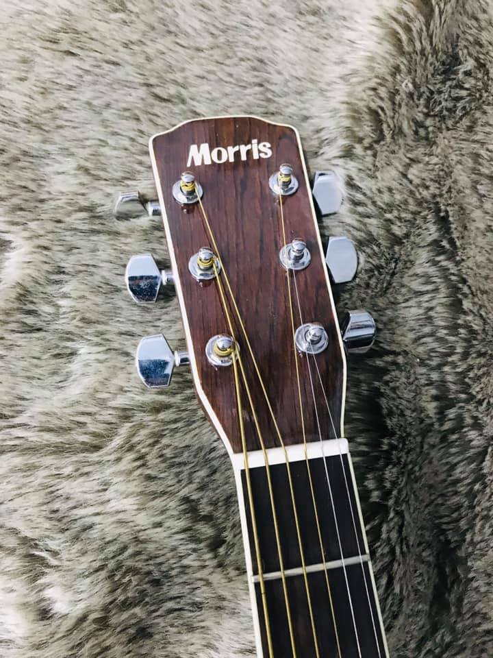 Đàn Guitar Acoustic Morris M50