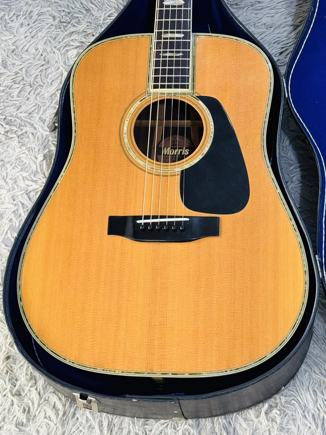 Đàn Guitar Acoustic Morris TF810