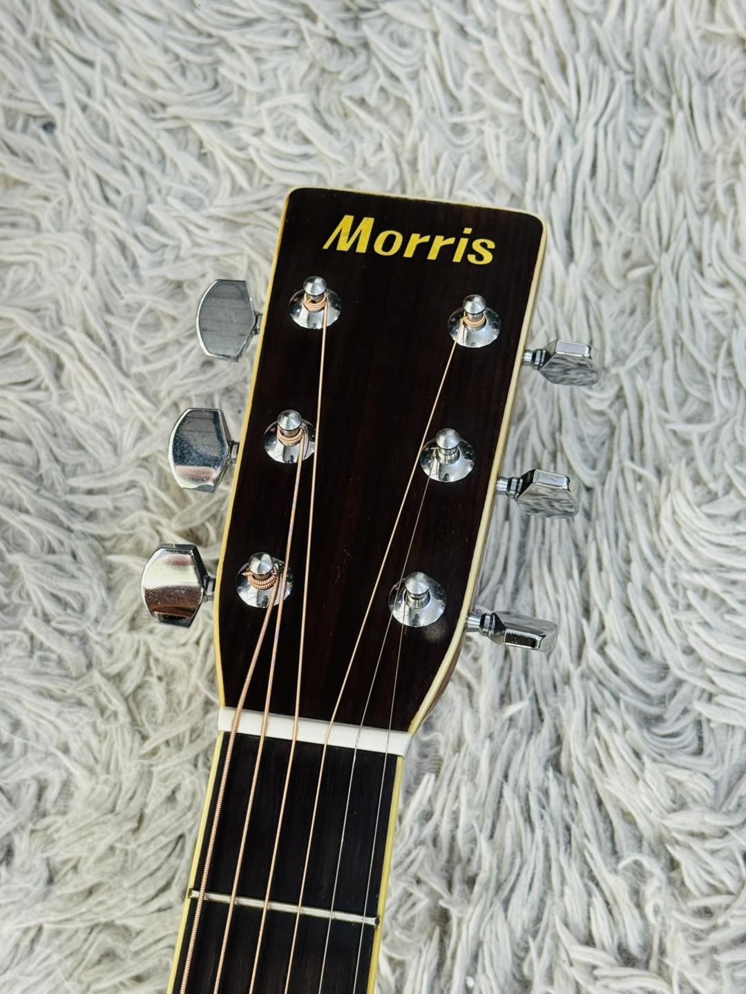 Đàn Guitar Acoustic Morris W25 1980