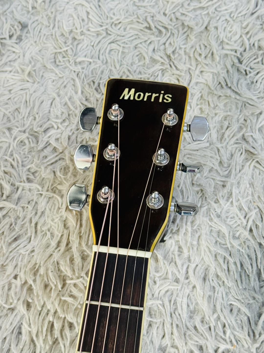Đàn Guitar Acoustic Morris W30 1970