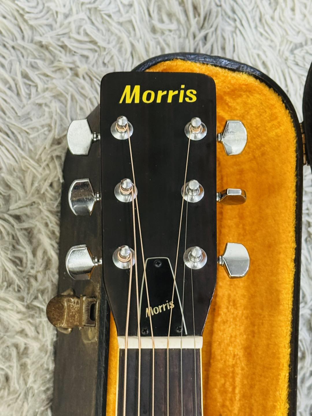 Đàn Guitar Acoustic Morris W30 1974