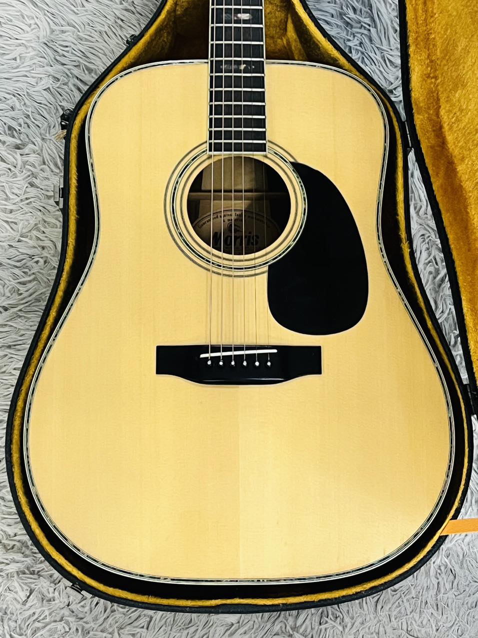 Đàn Guitar Acoustic Morris W40 1981
