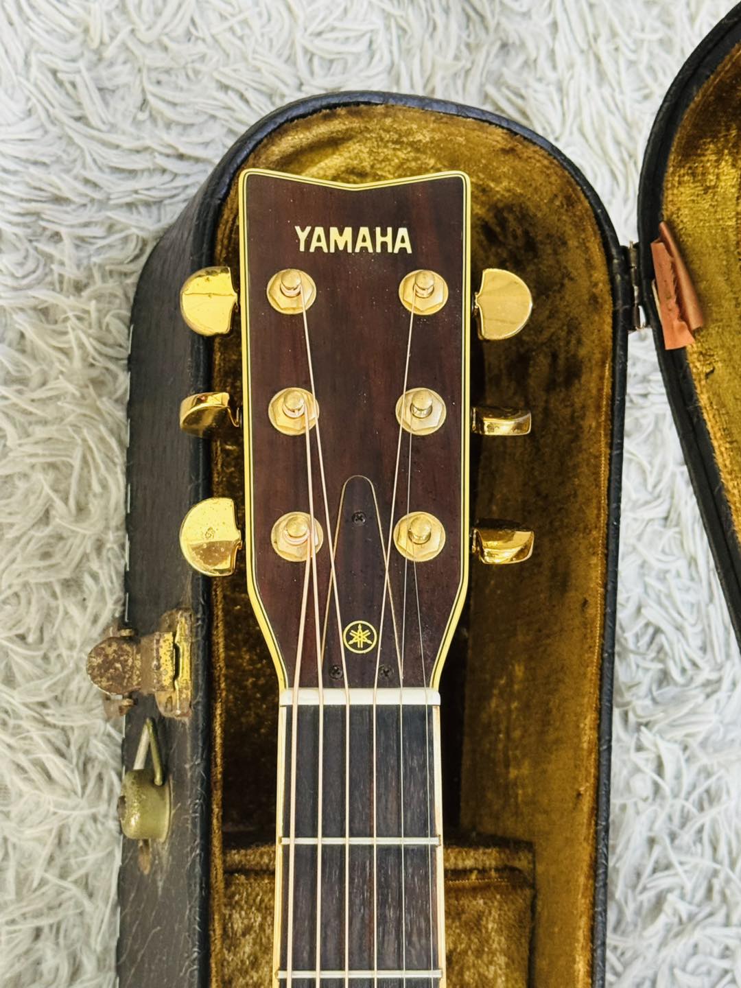 Đàn Guitar Acoustic Yamaha L6 Gen1