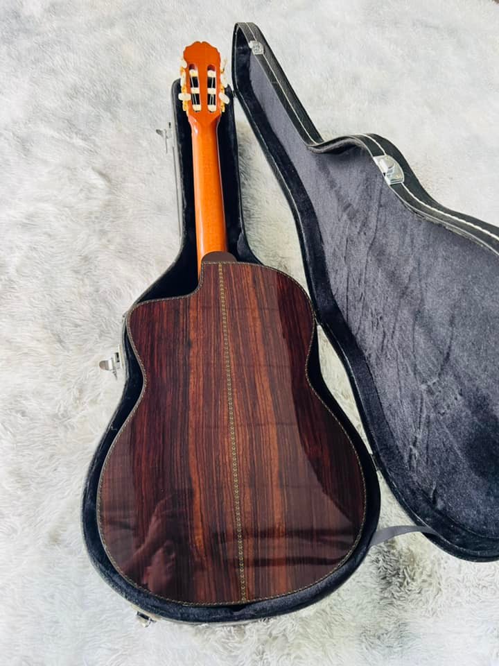 Đàn Guitar Classic Takamine DMP316