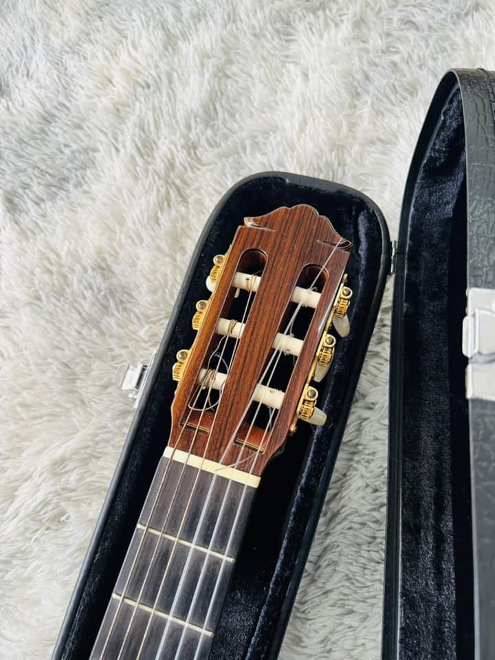 Đàn Guitar Classic Yamaha GC31C