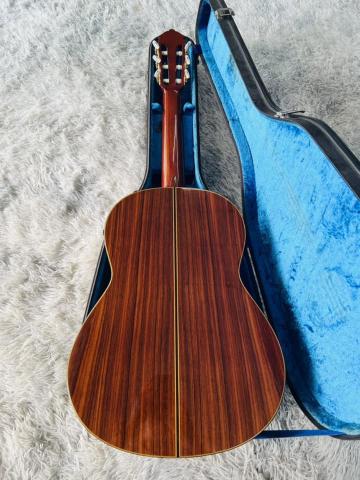 Đàn Guitar Classic Yamaha GC6D