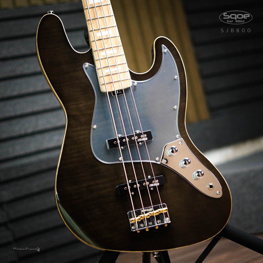 Đàn Guitar Bass Sqoe SJB800 SS Electric Guitar, Canadian Roasted Maple Fingerboard, Transparent Black