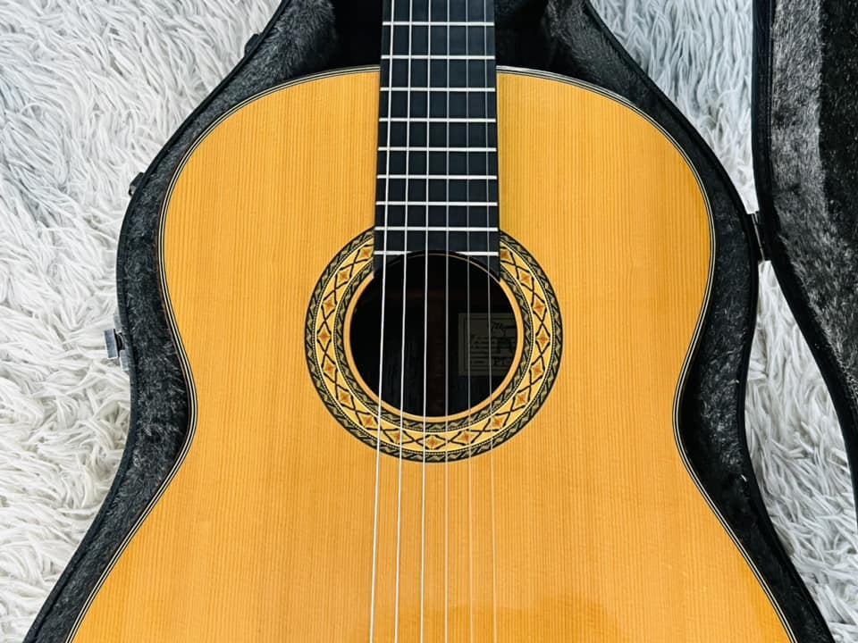Đàn Guitar Classic Takamine PT310