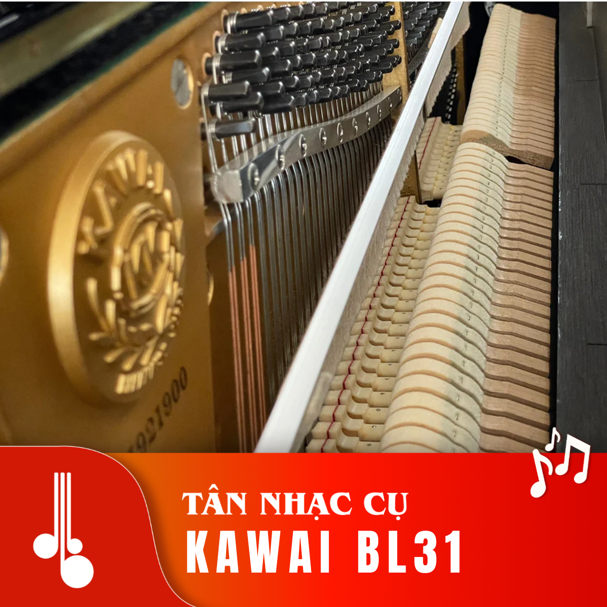 Kawai BL31 Tân Nhạc Cụ