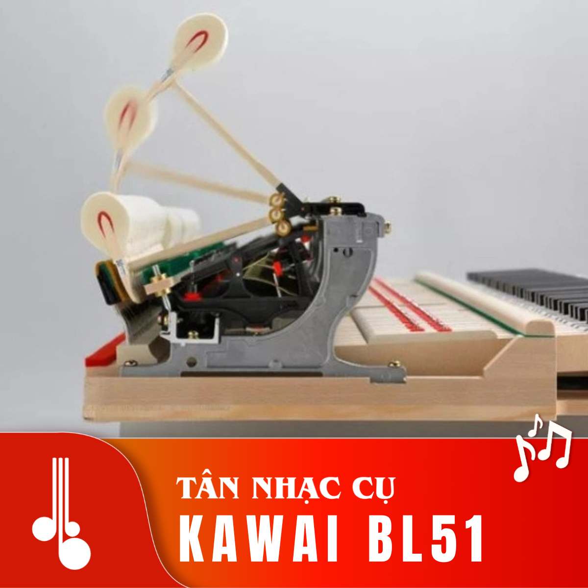 Kawai BL51 Tân Nhạc Cụ