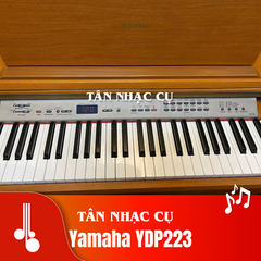 Yamaha YDP223