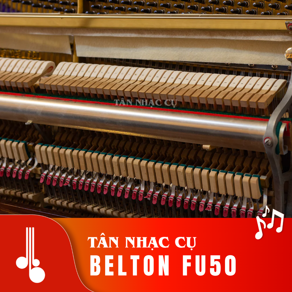 BELTON FU50 Tân Nhạc Cụ