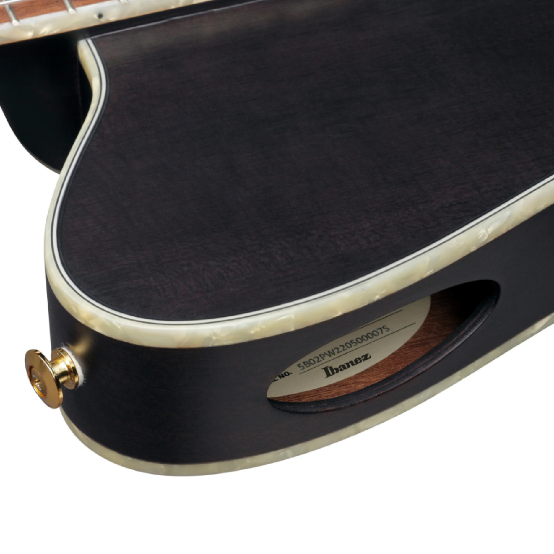 Đàn Guitar Classic Ibanez TOD10N-TKF Tim Henson Signature Nylon String Guitar, Transparent Black Flat