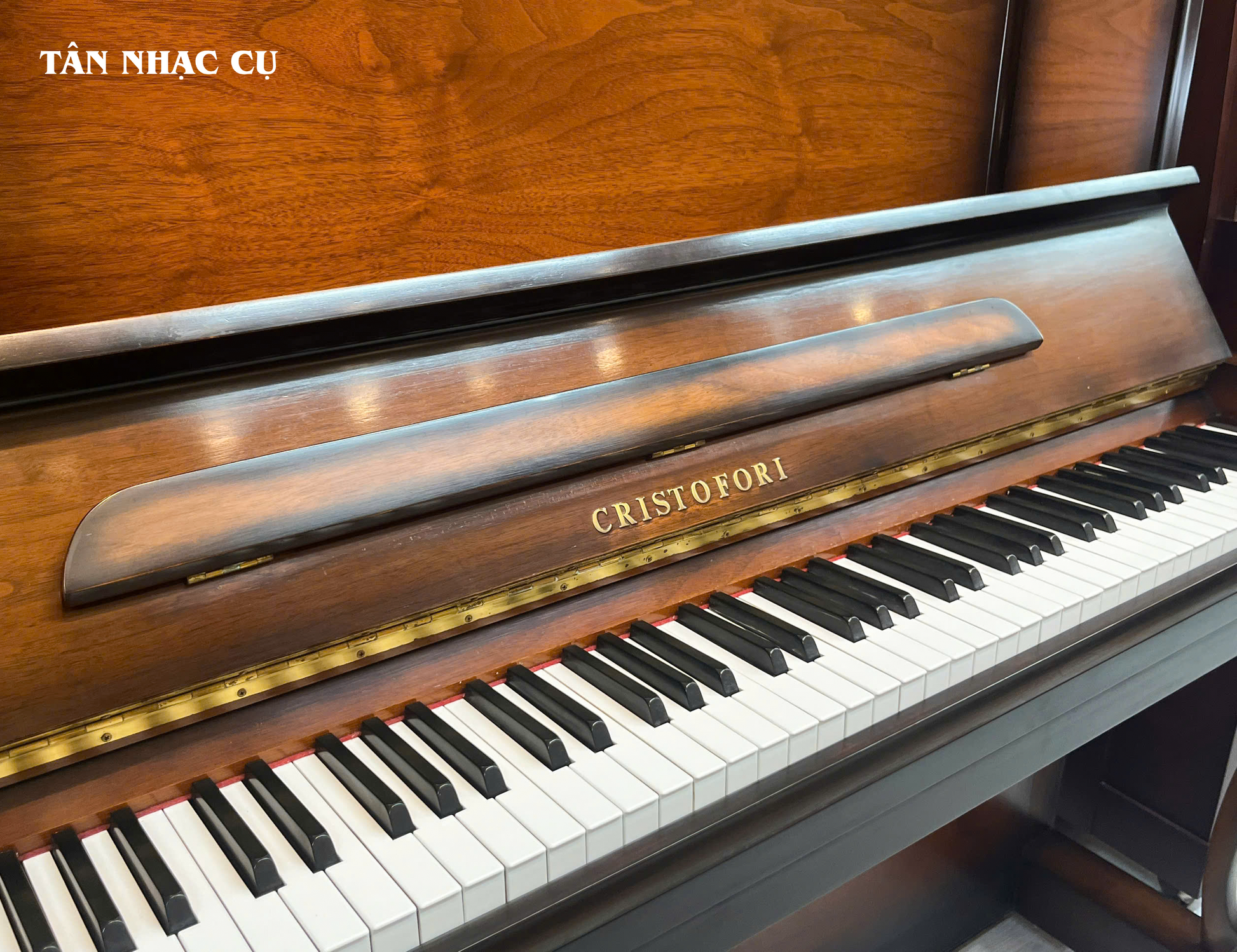 Đàn Piano Cơ Cristofori CR121 Slient