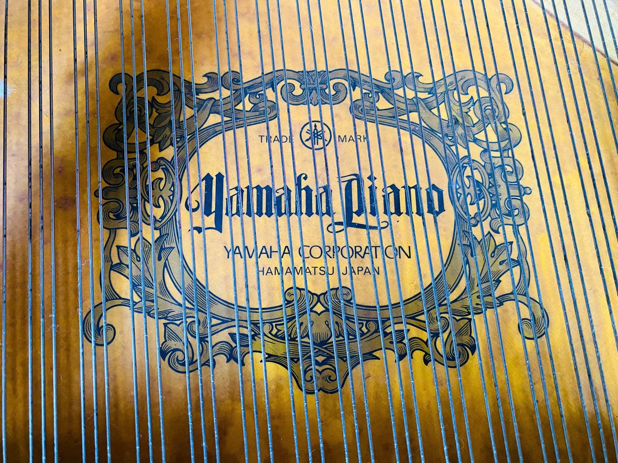 Đàn Grand Piano Yamaha C5B