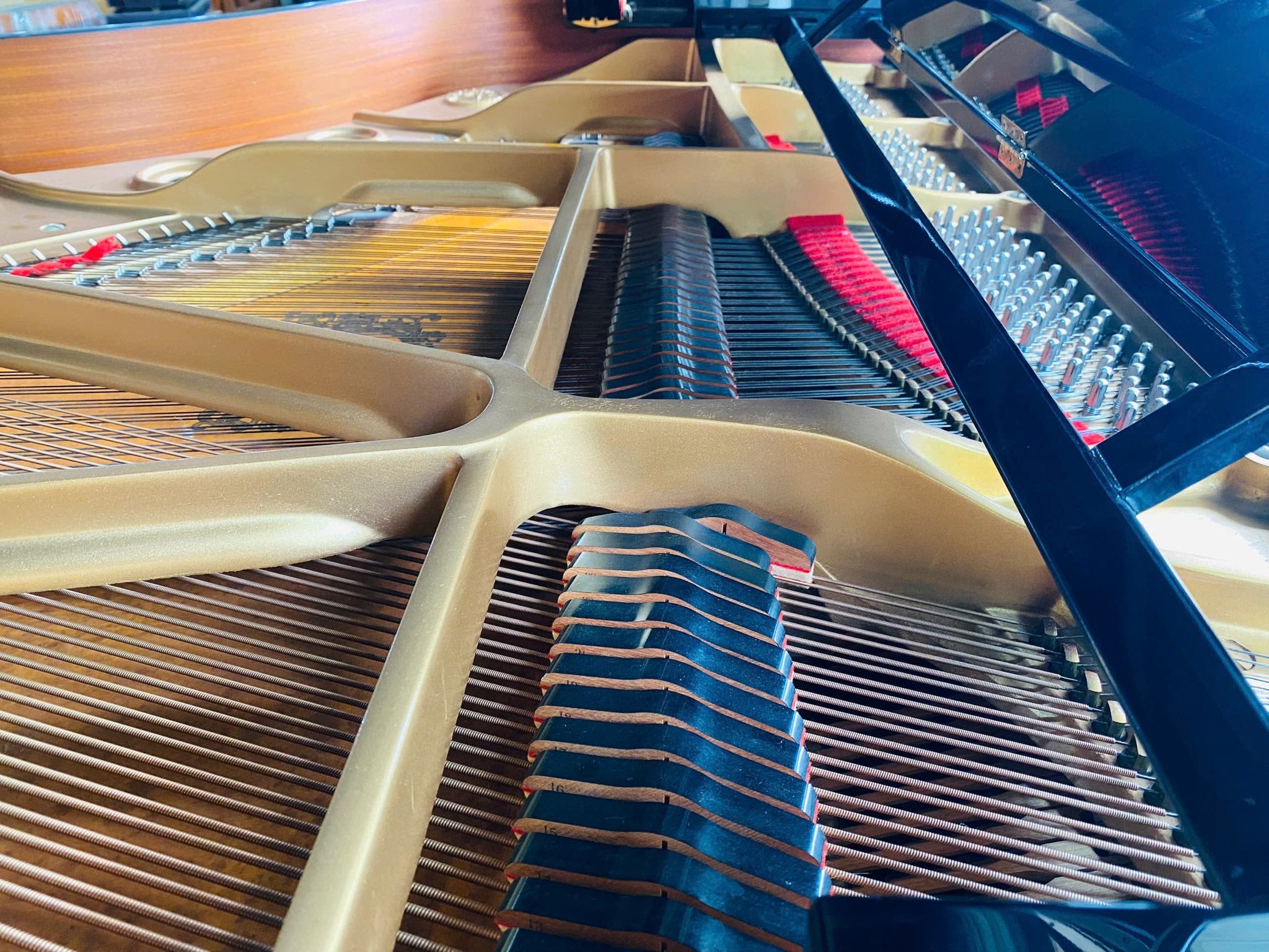 Đàn Grand Piano Yamaha C5B