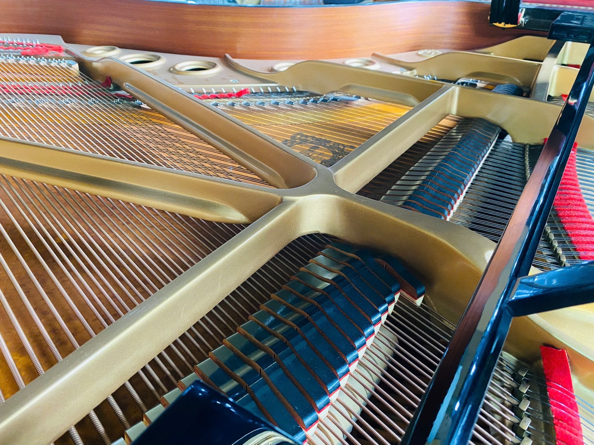 Đàn Grand Piano Yamaha C5B