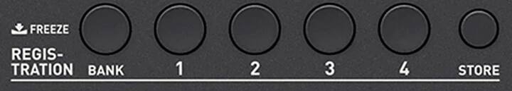 Đàn Organ Casio CTX800