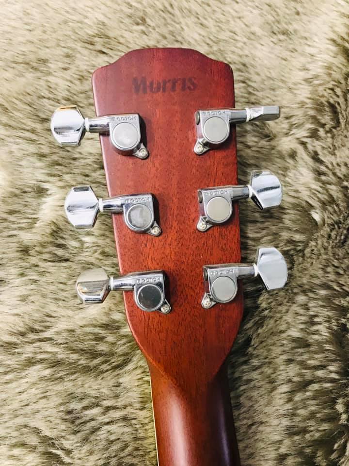 Đàn Guitar Acoustic Morris M50