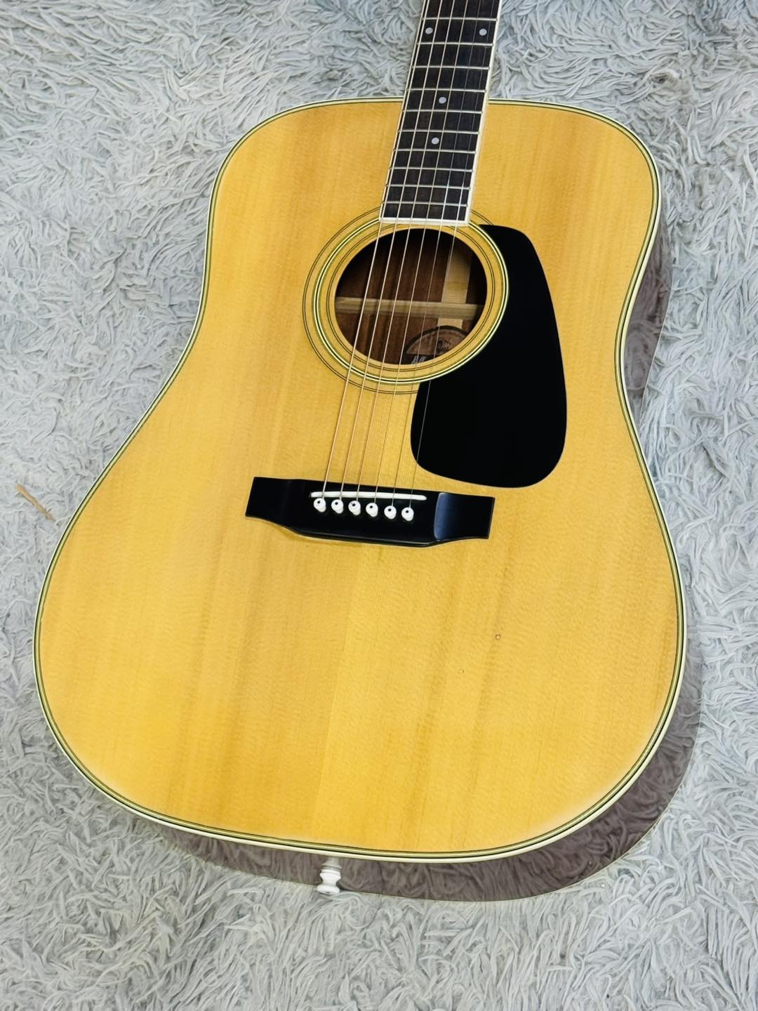Đàn Guitar Acoustic Morris MD505
