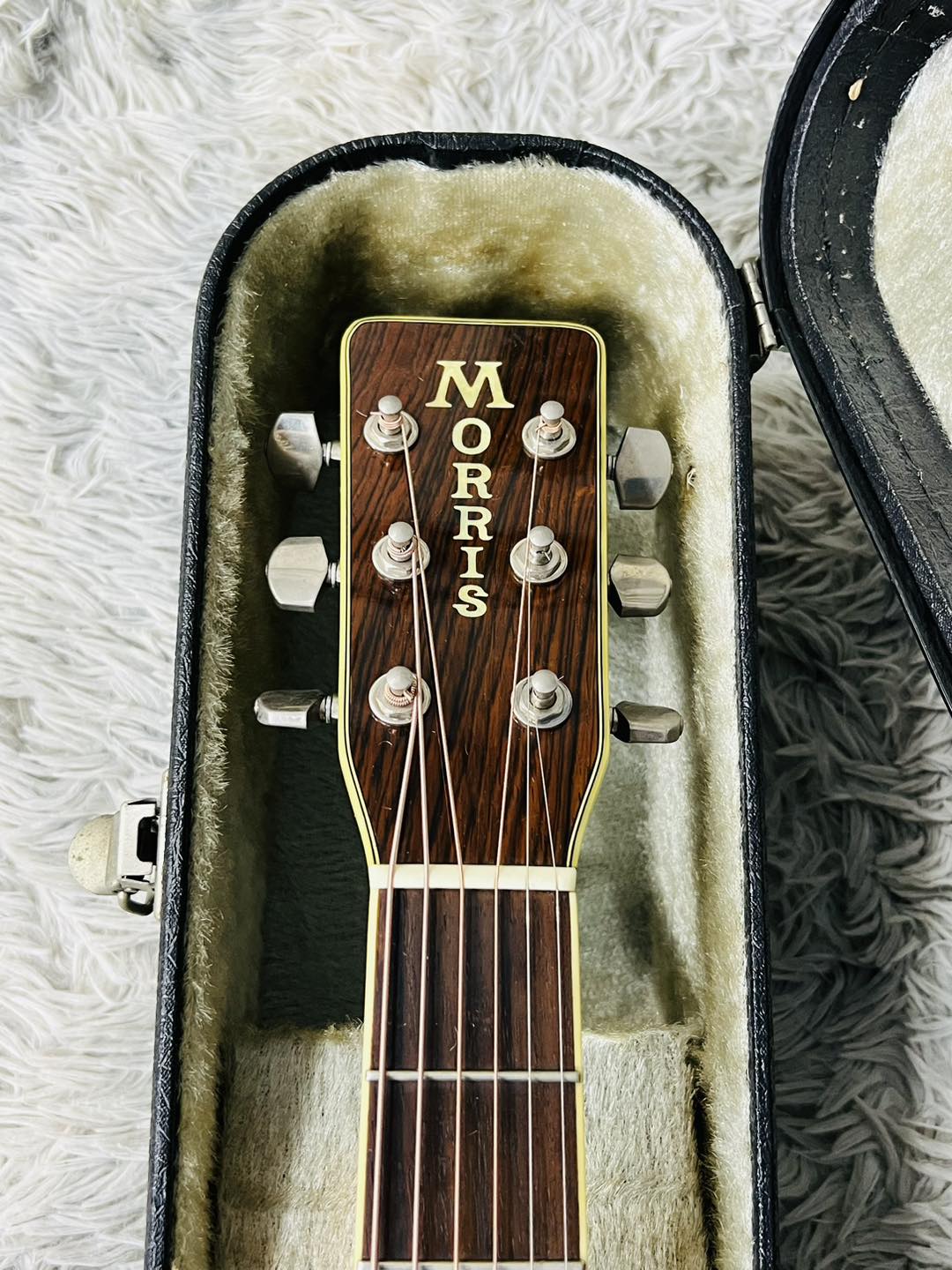 Đàn Guitar Acoustic Morris MD525