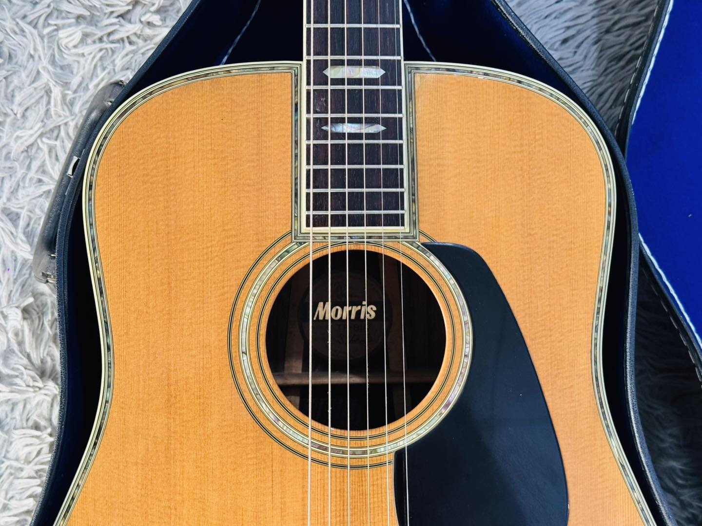 Đàn Guitar Acoustic Morris TF810
